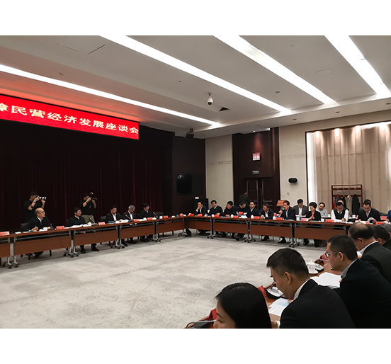全國人大代表、方大集團(tuán)董事長熊建明參加檢察機(jī)關(guān)服務(wù)保障民營經(jīng)濟(jì)發(fā)展調(diào)研座談會
